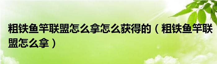 粗铁鱼竿联盟怎么拿怎么获得的（粗铁鱼竿联盟怎么拿）