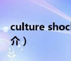 culture shock（说一说culture shock的简介）