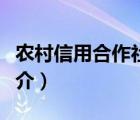 农村信用合作社（说一说农村信用合作社的简介）