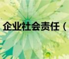 企业社会责任（说一说企业社会责任的简介）