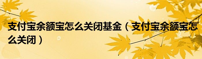 支付宝余额宝怎么关闭基金（支付宝余额宝怎么关闭）