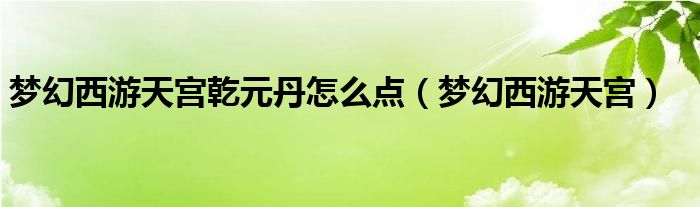 梦幻西游天宫乾元丹怎么点（梦幻西游天宫）