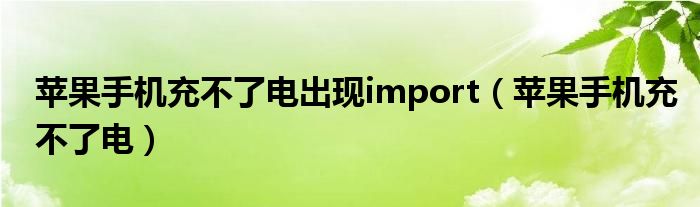 苹果手机充不了电出现import（苹果手机充不了电）