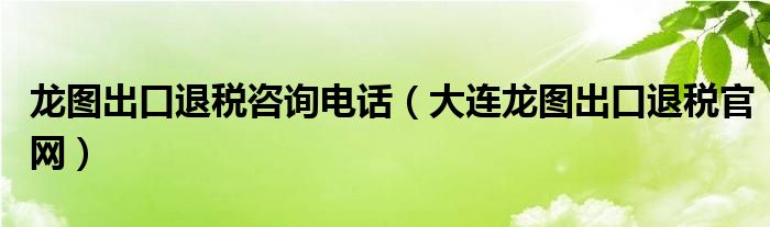 龙图出口退税咨询电话（大连龙图出口退税官网）