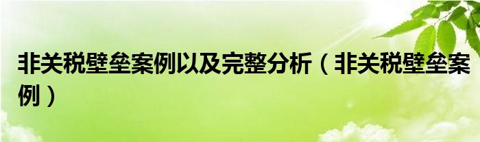 非关税壁垒案例以及完整分析（非关税壁垒案例）