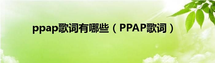 ppap歌词有哪些（PPAP歌词）