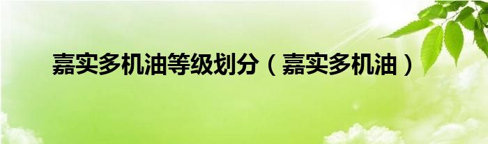 嘉实多机油等级划分（嘉实多机油）