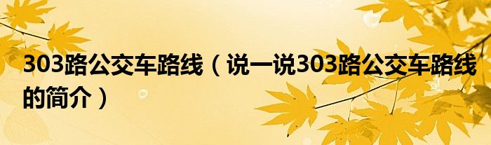 303路公交车路线（说一说303路公交车路线的简介）