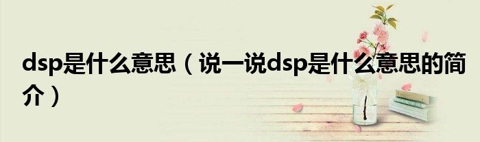 dsp是什么意思（说一说dsp是什么意思的简介）