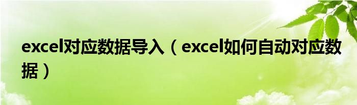 excel对应数据导入（excel如何自动对应数据）