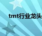 tmt行业龙头股（tmt行业是什么意思）