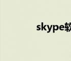 skype软件安全吗（skyper）