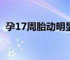 孕17周胎动明显吗（怀孕17周胎动什么样）