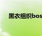 黑衣组织boss同人文（黑衣组织boss）