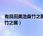 有良田美池桑竹之属阡陌交通鸡犬相闻翻译（有良田美池桑竹之属）