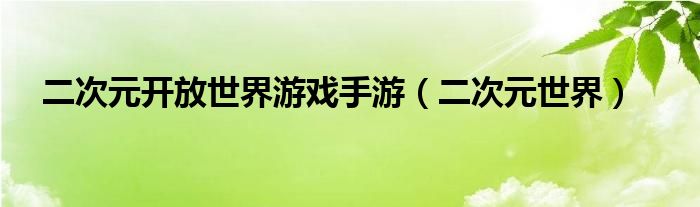 二次元开放世界游戏手游（二次元世界）