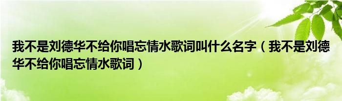 我不是刘德华不给你唱忘情水歌词叫什么名字（我不是刘德华不给你唱忘情水歌词）