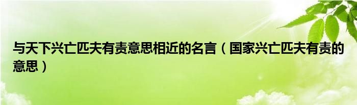 与天下兴亡匹夫有责意思相近的名言（国家兴亡匹夫有责的意思）