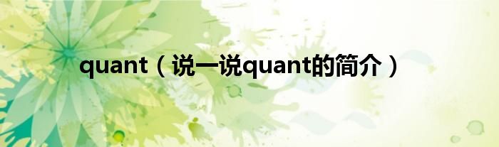 quant（说一说quant的简介）