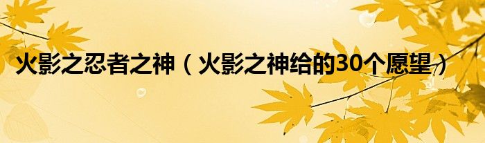 火影之忍者之神（火影之神给的30个愿望）