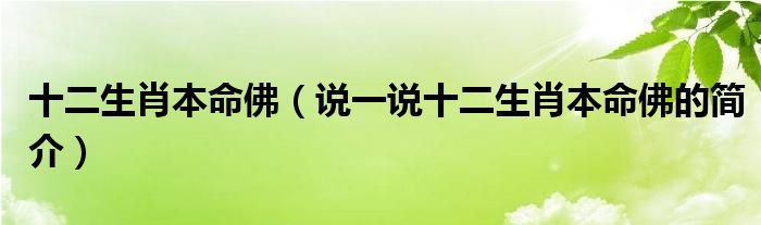 十二生肖本命佛（说一说十二生肖本命佛的简介）