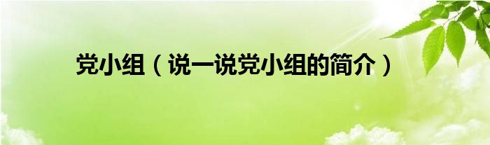 党小组（说一说党小组的简介）