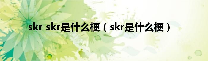 skr skr是什么梗（skr是什么梗）