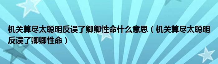 机关算尽太聪明反误了卿卿性命什么意思（机关算尽太聪明反误了卿卿性命）