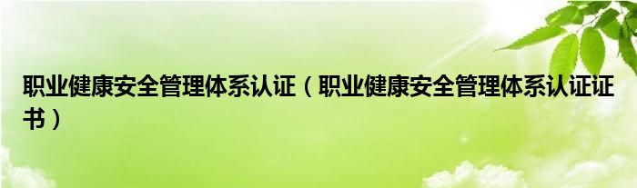 职业健康安全管理体系认证（职业健康安全管理体系认证证书）