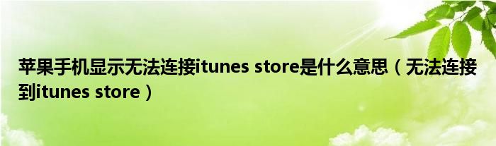 苹果手机显示无法连接itunes store是什么意思（无法连接到itunes store）