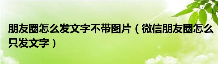 朋友圈怎么发文字不带图片（微信朋友圈怎么只发文字）