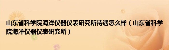 山东省科学院海洋仪器仪表研究所待遇怎么样（山东省科学院海洋仪器仪表研究所）