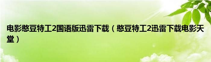 电影憨豆特工2国语版迅雷下载（憨豆特工2迅雷下载电影天堂）