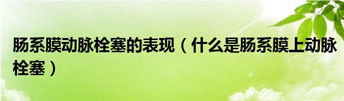 肠系膜动脉栓塞的表现（什么是肠系膜上动脉栓塞）