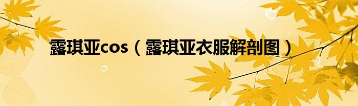 露琪亚cos（露琪亚衣服解剖图）