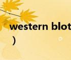 western blotting原理（western blotting）