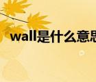 wall是什么意思怎么读（wall是什么意思）