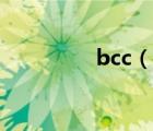 bcc（说一说bcc的简介）