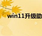 win11升级助手闪退（win11升级助手）