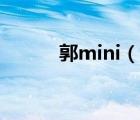 郭mini（说一说郭mini的简介）