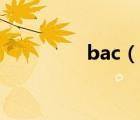 bac（说一说bac的简介）