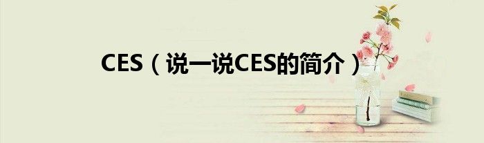 CES（说一说CES的简介）