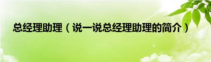 总经理助理（说一说总经理助理的简介）