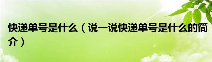 快递单号是什么（说一说快递单号是什么的简介）