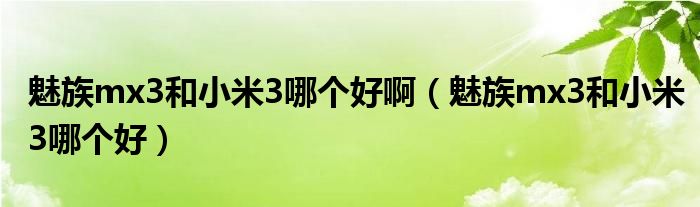 魅族mx3和小米3哪个好啊（魅族mx3和小米3哪个好）