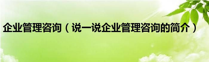 企业管理咨询（说一说企业管理咨询的简介）