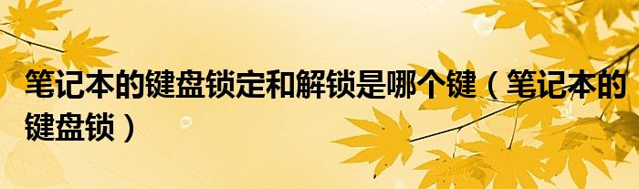 笔记本的键盘锁定和解锁是哪个键（笔记本的键盘锁）