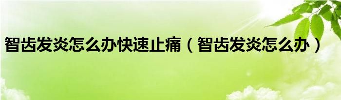 智齿发炎怎么办快速止痛（智齿发炎怎么办）