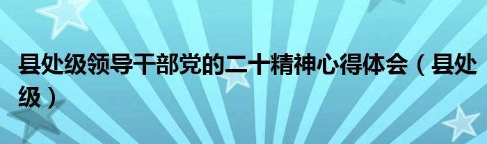 县处级领导干部党的二十精神心得体会（县处级）