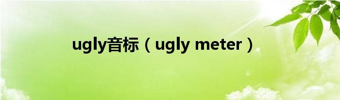 ugly音标（ugly meter）